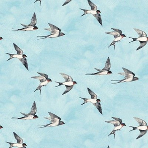 Scattered Blue Sky Swallow Flight - small version