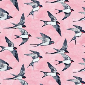 Pink Sky Swallow Flight - small version