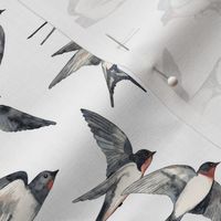 Tiny Swallows in Flight against a white sky Small