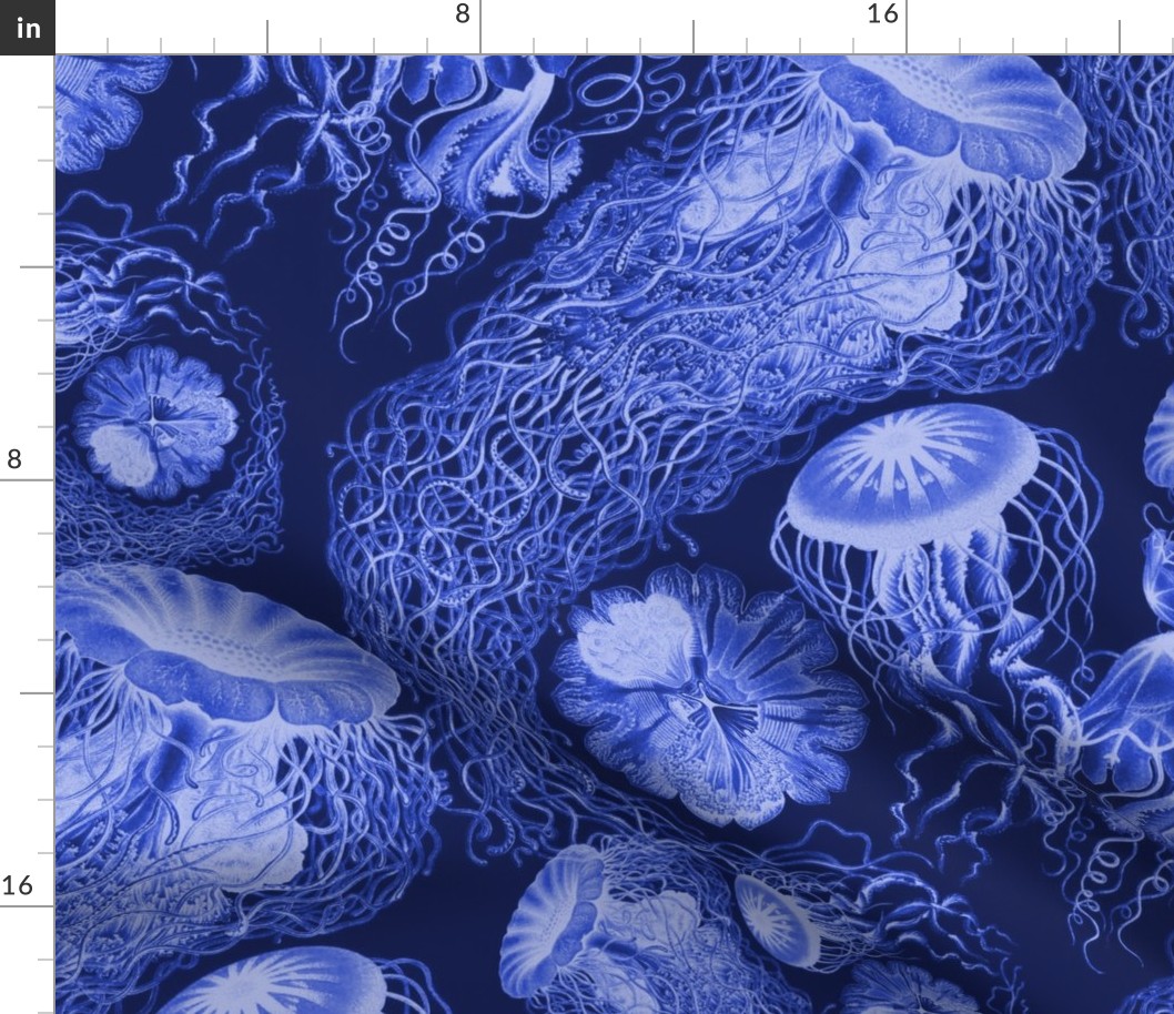 Jellyfish Swarm ~ Royal Blue and White 