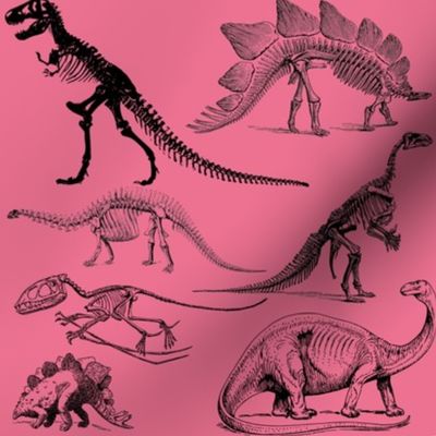 Dinosaurs on Pink, Vintage Museum Skeletons 