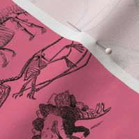 Dinosaurs on Pink, Vintage Museum Skeletons 