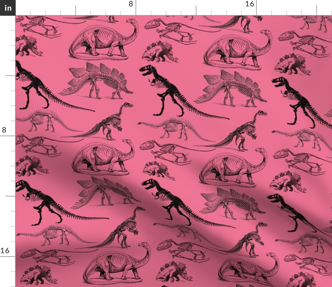 Dinosaurs on Pink, Vintage Museum Skeletons 