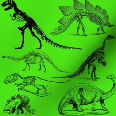 Vintage Museum Skeletons | Dinosaurs on Lime Green