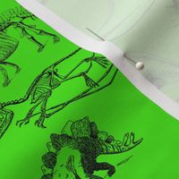 Vintage Museum Skeletons | Dinosaurs on Lime Green