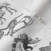Vintage Museum Skeletons | Dinosaurs on White