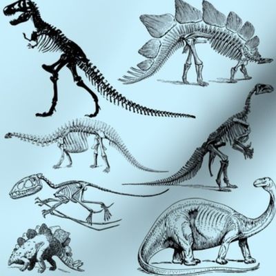 Museum Animals | Dinosaur Skeletons on Baby Blue