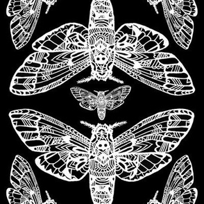 Death Head Moth Tangle Damask