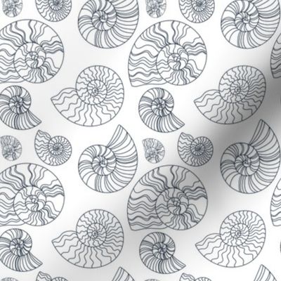 Fossils in White // Seashells // Nautical monochromatic repeat pattern // for men and women // by Zoe Charlotte