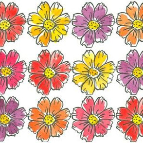 Colorful Chrysanthemums