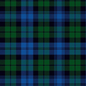 Black Watch tartan, 6" modern bright