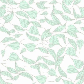Parisian Green Foliage, Soft Mint Green Leaves on Crisp White Background
