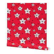 Origami decoration stars seasonal geometric december holiday holy night design red