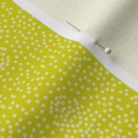 Pewter Pin Dot Patterns on Bush Lemon