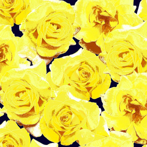 Yellow_Roses_on_dk_navy