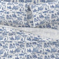 alice blue  toile de jouy large