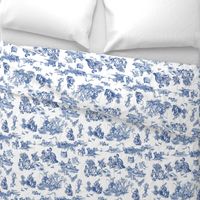 alice blue  toile de jouy large