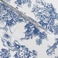 alice blue  toile de jouy large