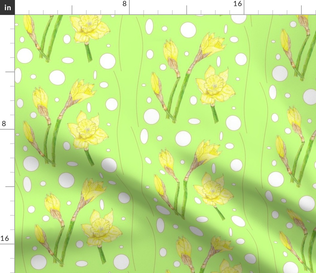 Spring Rain - Daffodils