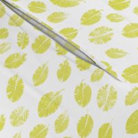 little leaves - chartreuse/white