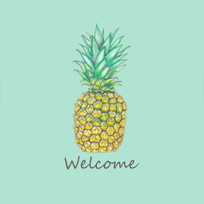 Pineapple_16x16_Welcome