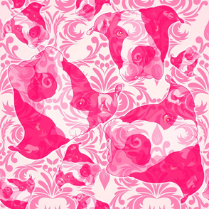 Pitbull on Pink Damask