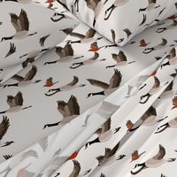 gueth_migratory_birds