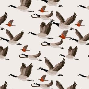 gueth_migratory_birds