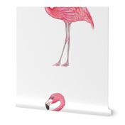 Pink Flamingo