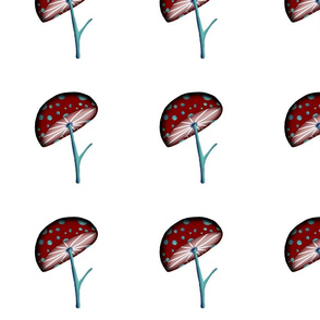 A 31 March 2011 - Mushroom red fabric white background