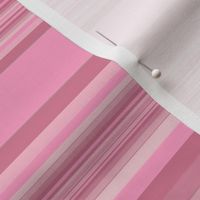 Warm Pink Horizontal Stripe