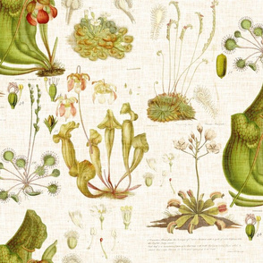 Carnivorous Plants - linen