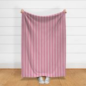 Warm Pink  Stripe