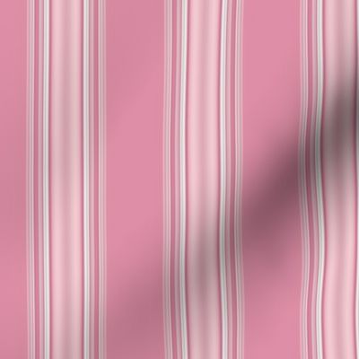 Warm Pink  Stripe