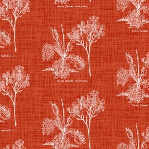 Flytrap linen - red