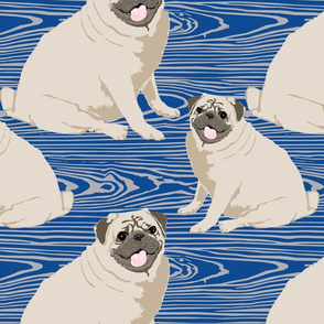 Pugs not shrugs. Navy