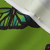 Butterflies on green background