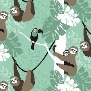 Sloth family