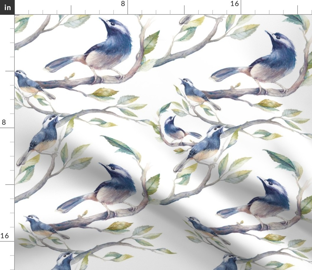 Watercolor birds pattern