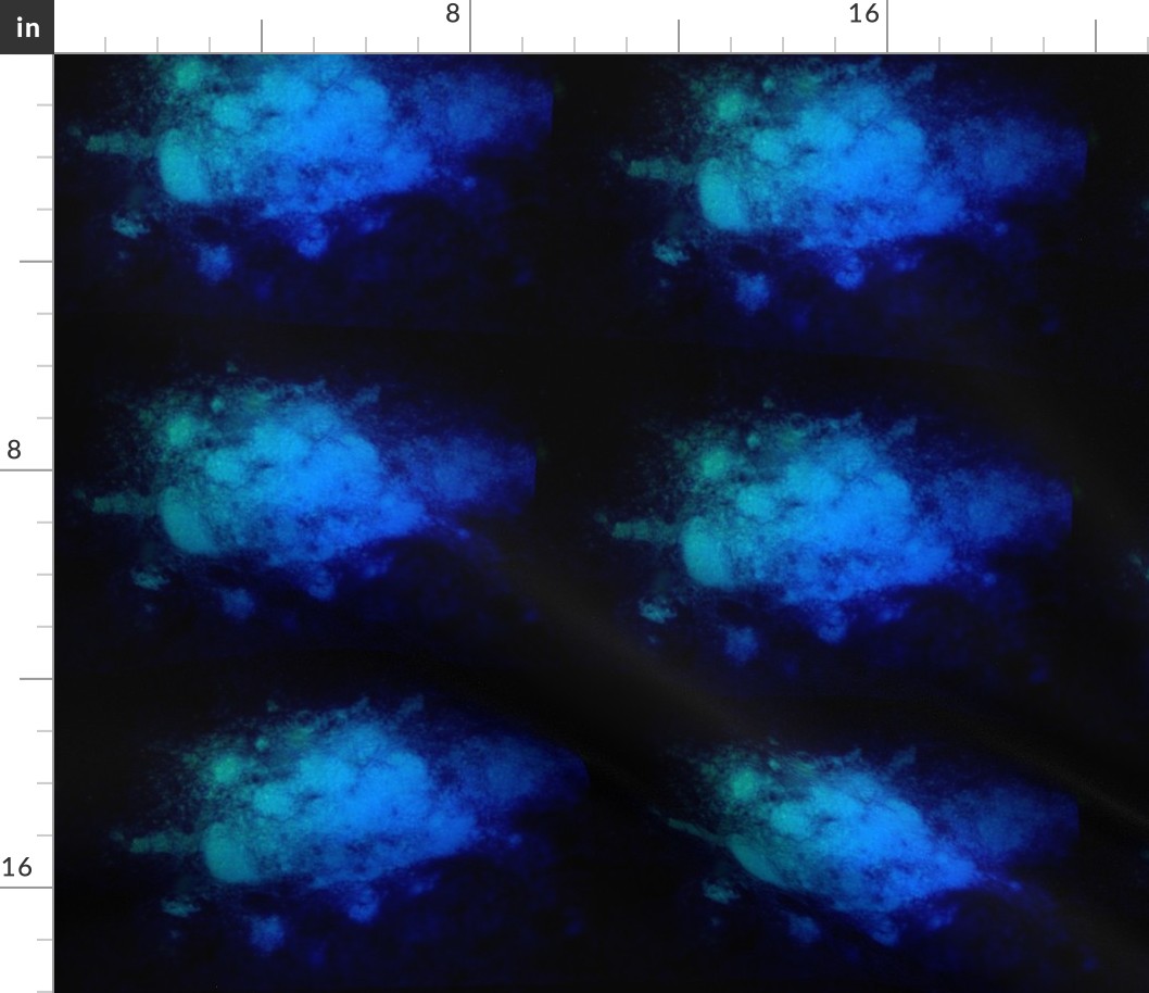 immunofluorescent staining of protein cells