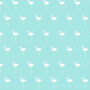 Field of Flamingos in teal