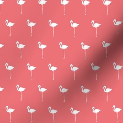 Field of Flamingos in pink
