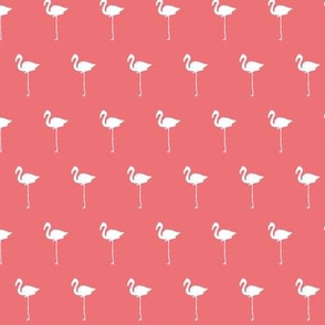 Field of Flamingos in pink