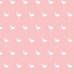 Field of Flamingos in Ballet Pink