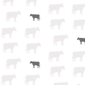 Cows Gray