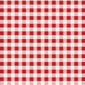 gingham red & pink