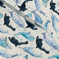 Whales, Orcas & Narwhals