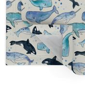 Whales, Orcas & Narwhals