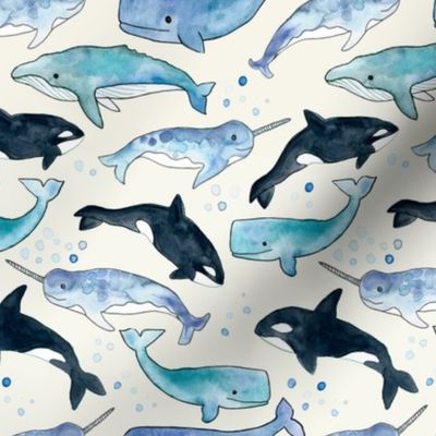 Whales, Orcas & Narwhals