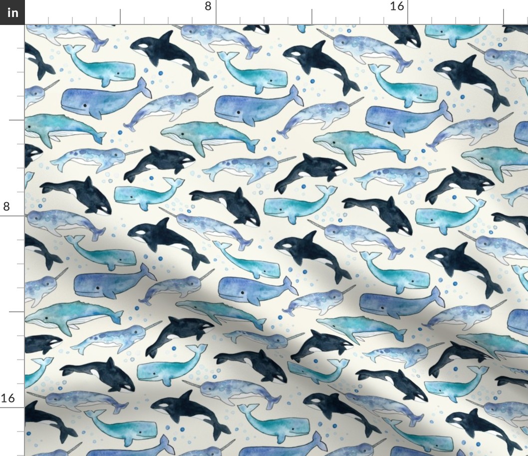 Whales, Orcas & Narwhals